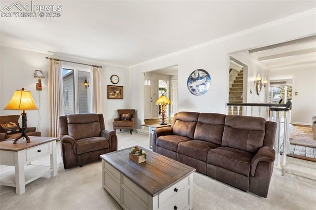 231 S Forty Road, Woodland Park, CO 80863