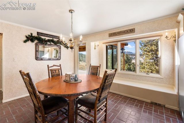 231 S Forty Road, Woodland Park, CO 80863
