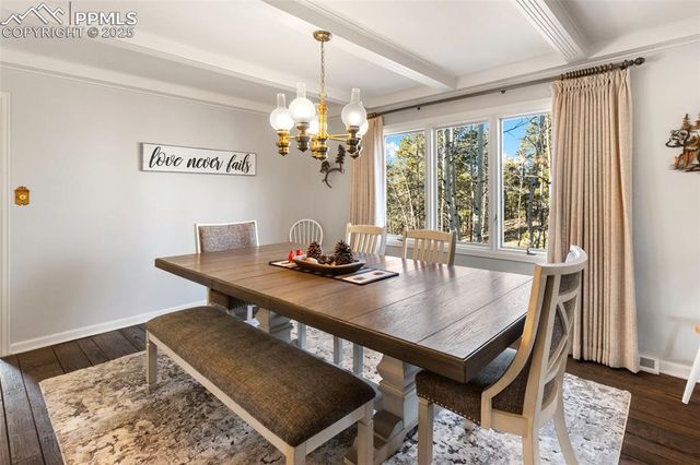 231 S Forty Road, Woodland Park, CO 80863