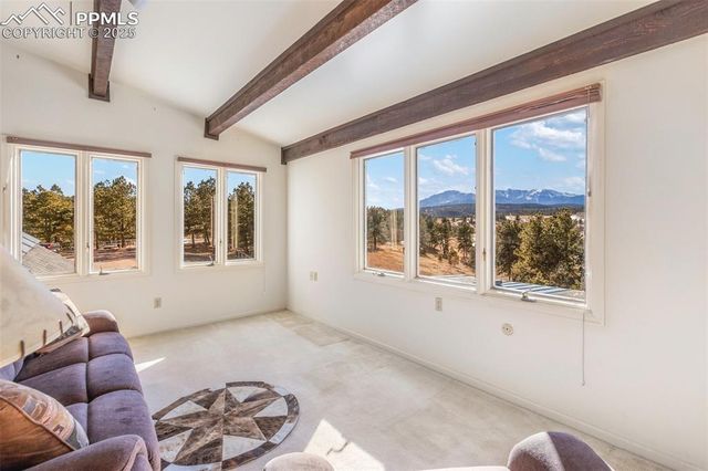 231 S Forty Road, Woodland Park, CO 80863