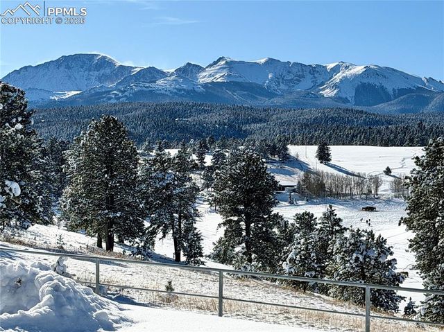 231 S Forty Road, Woodland Park, CO 80863