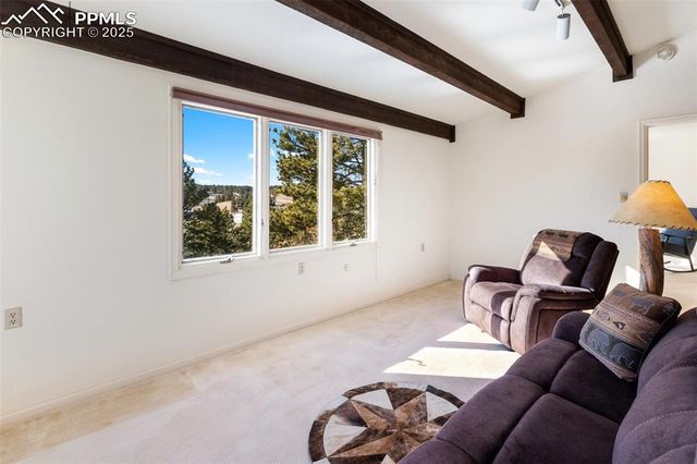 231 S Forty Road, Woodland Park, CO 80863