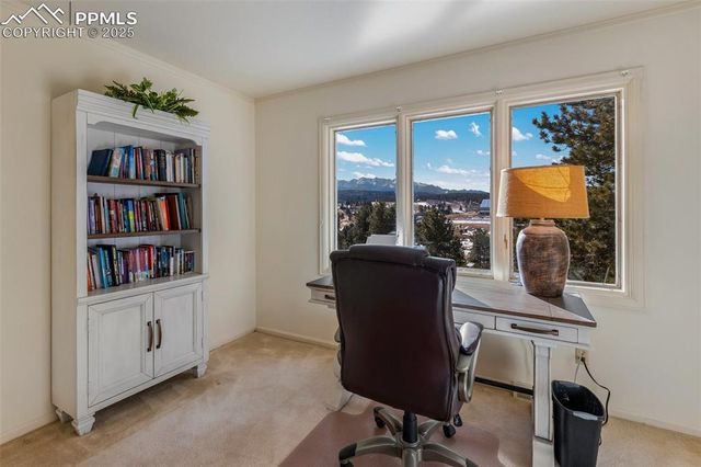 231 S Forty Road, Woodland Park, CO 80863
