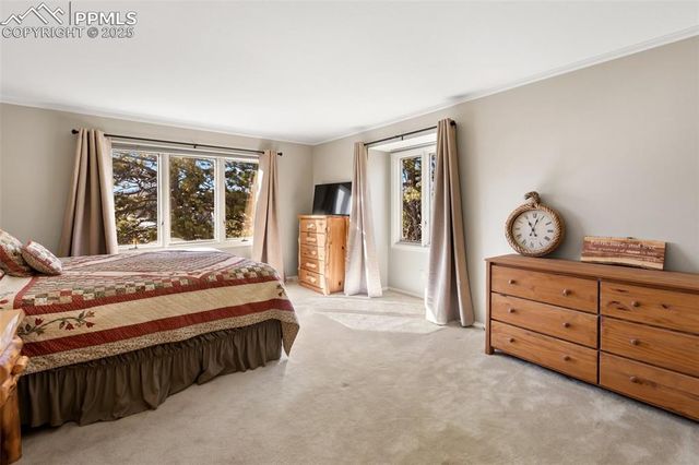 231 S Forty Road, Woodland Park, CO 80863