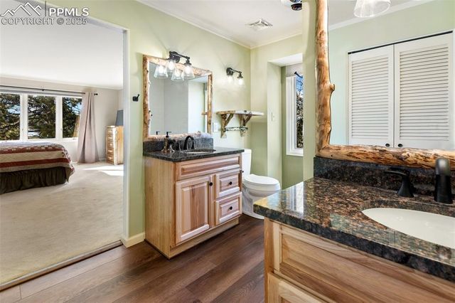 231 S Forty Road, Woodland Park, CO 80863