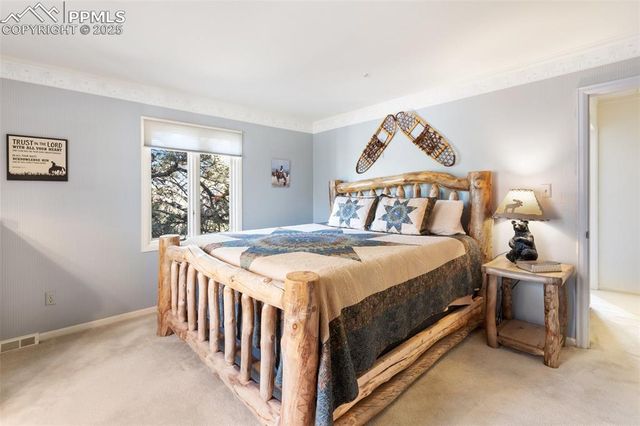 231 S Forty Road, Woodland Park, CO 80863