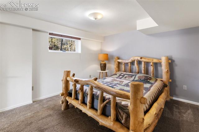231 S Forty Road, Woodland Park, CO 80863