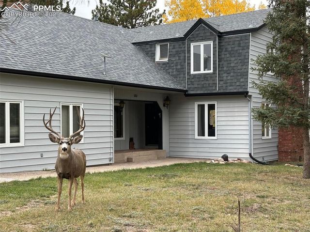 231 S Forty Road, Woodland Park, CO 80863