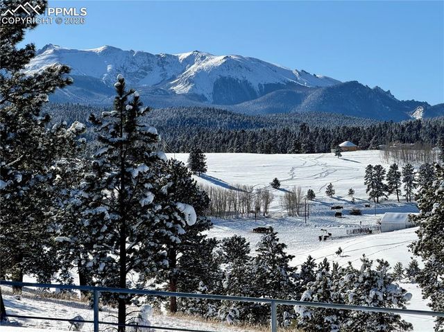 231 S Forty Road, Woodland Park, CO 80863
