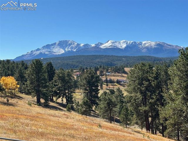 231 S Forty Road, Woodland Park, CO 80863