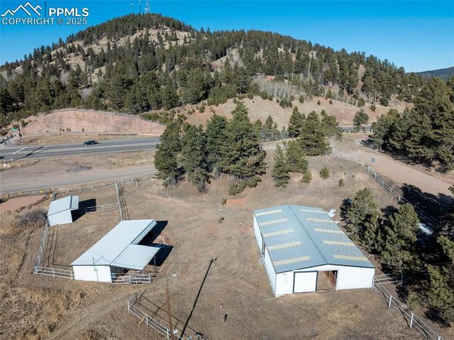 231 S Forty Road, Woodland Park, CO 80863