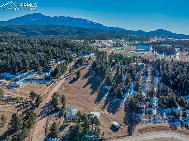 231 S Forty Road, Woodland Park, CO 80863