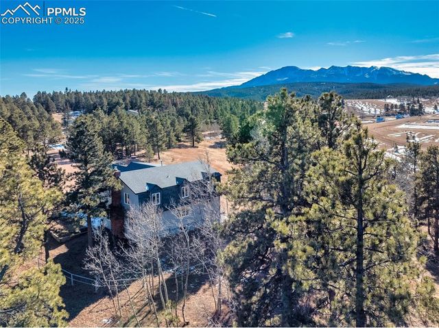 231 S Forty Road, Woodland Park, CO 80863
