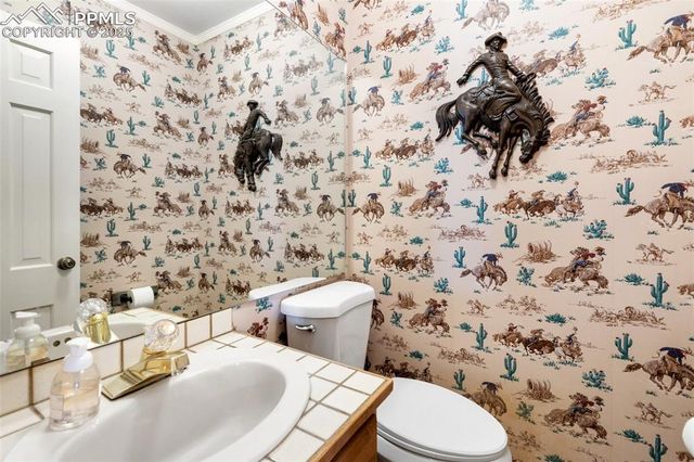 231 S Forty Road, Woodland Park, CO 80863