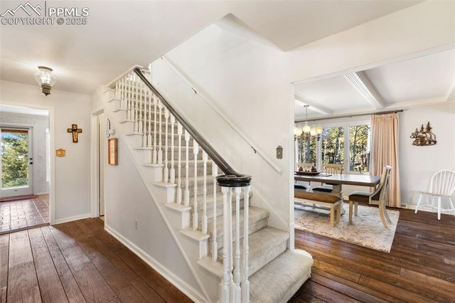 231 S Forty Road, Woodland Park, CO 80863