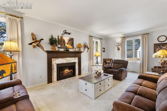 231 S Forty Road, Woodland Park, CO 80863