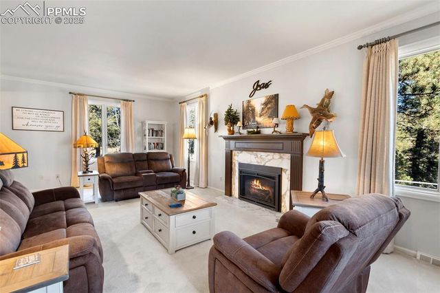 231 S Forty Road, Woodland Park, CO 80863
