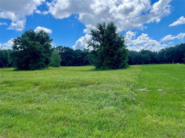 18340 GREAT BLUE HERON DRIVE, Groveland, FL 34736