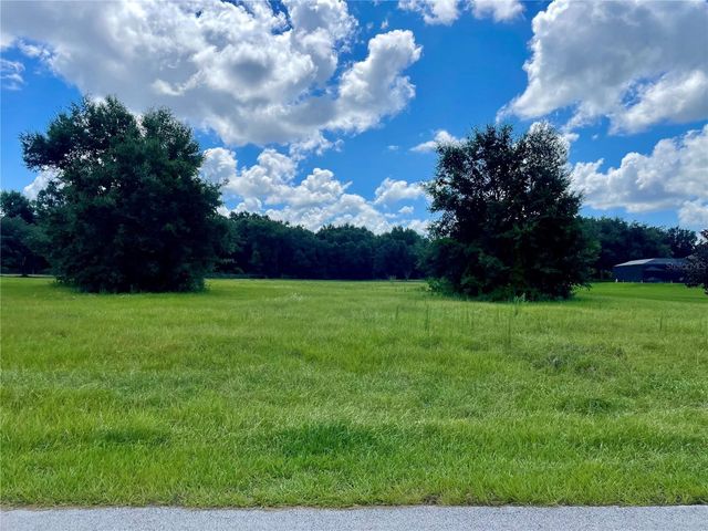 18340 GREAT BLUE HERON DRIVE, Groveland, FL 34736