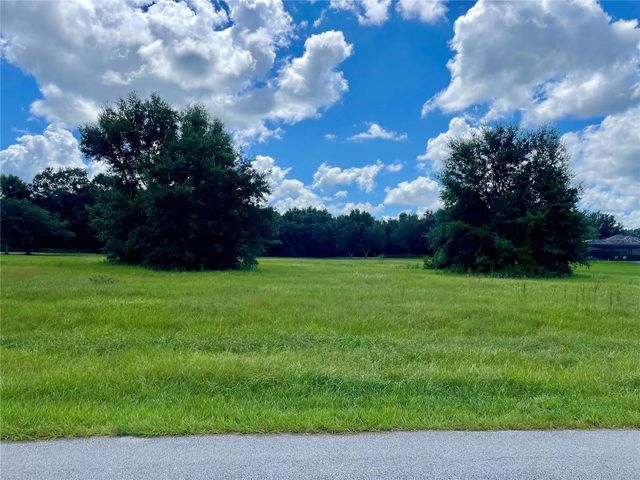 18340 GREAT BLUE HERON DRIVE, Groveland, FL 34736