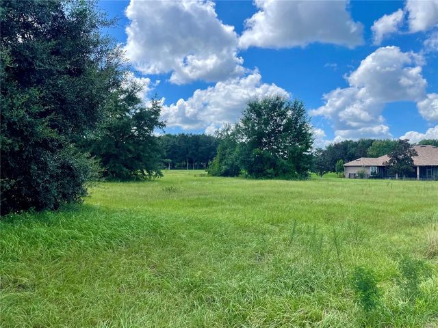 18340 GREAT BLUE HERON DRIVE, Groveland, FL 34736