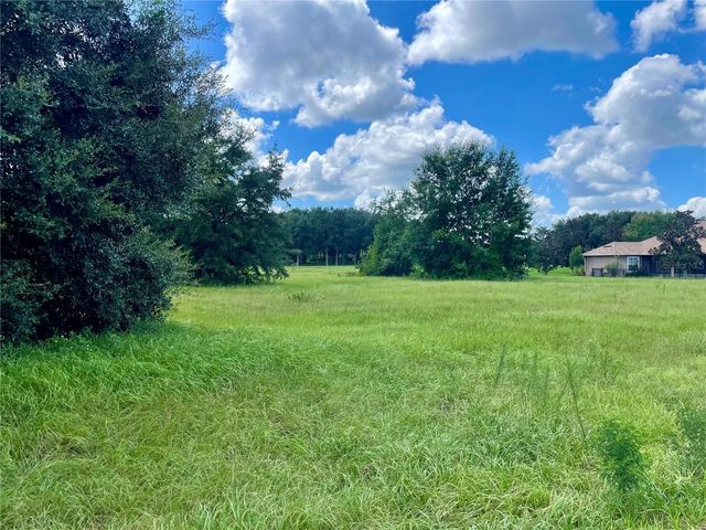 18340 GREAT BLUE HERON DRIVE, Groveland, FL 34736