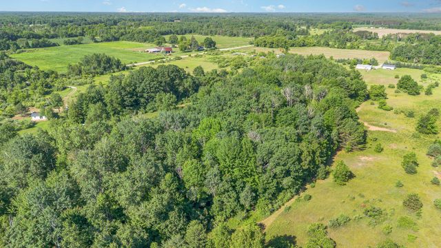 3433 Nile Road, Burleigh Twp, MI 48770