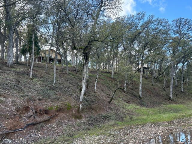 16715 Golden Arrow Drive, Cottonwood, CA 96022