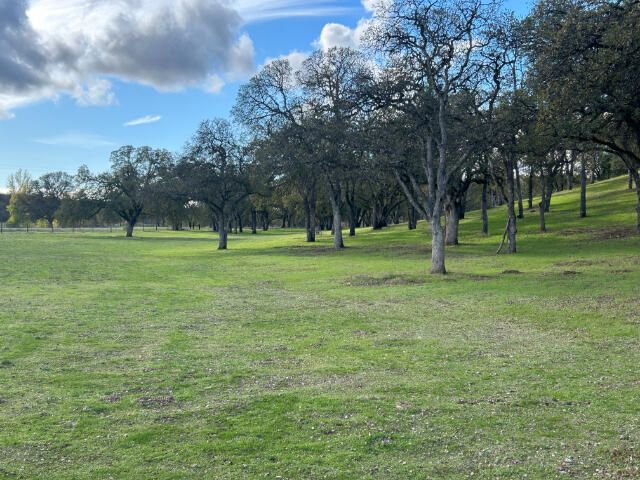 16715 Golden Arrow Drive, Cottonwood, CA 96022