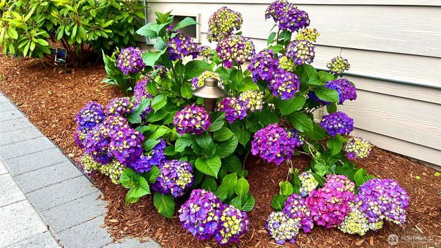 20013 9th Place W, Lynnwood, WA 98036