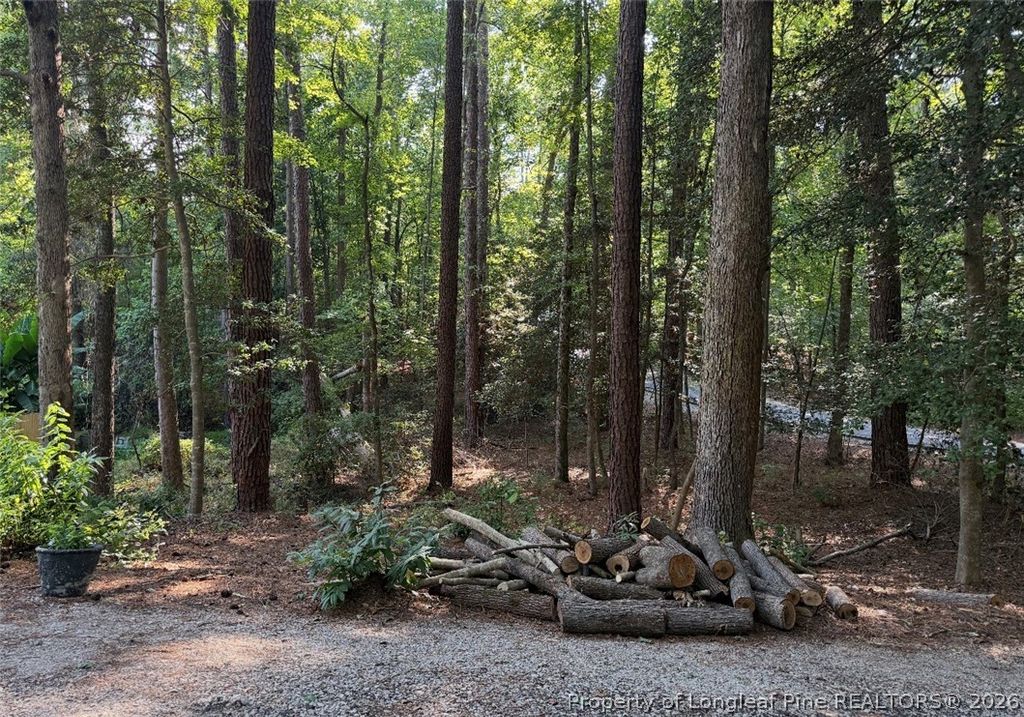 0 Lot 1761 Irish Boulevard, Sanford, NC 27330 — photo 2