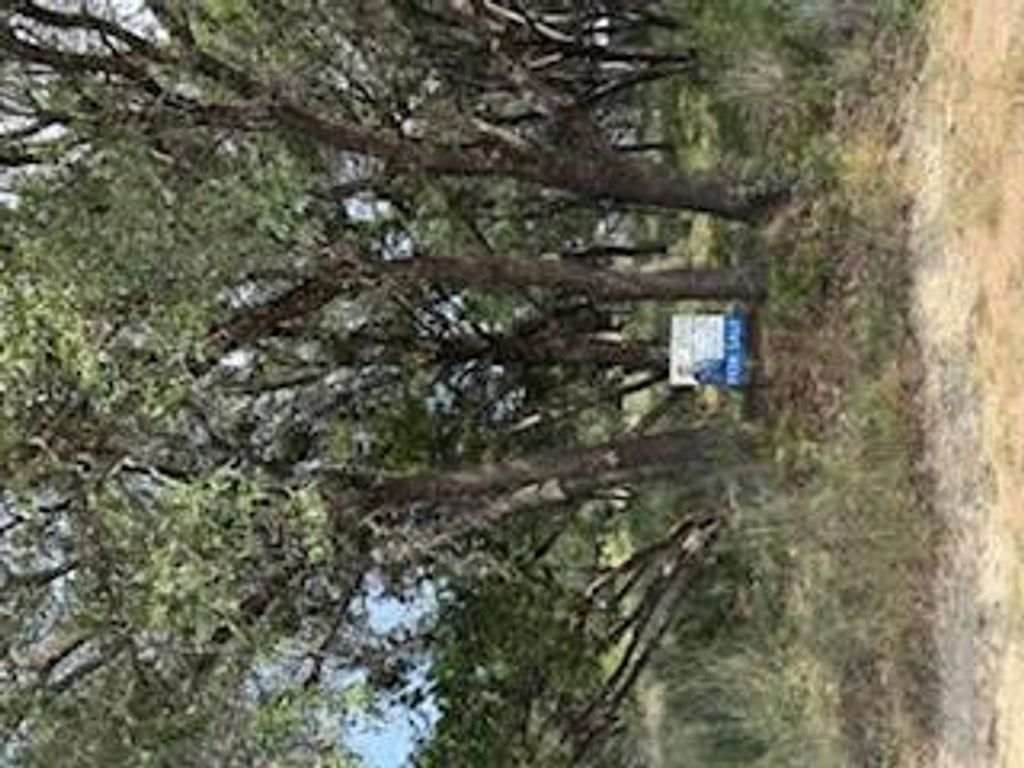 3956 Outpost TRCE, Lago Vista, TX 78645