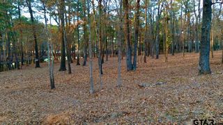 TBD HICKORY TRL (LOT 11E), Flint, TX 75762