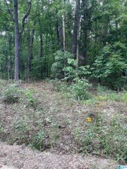 0 MURIEL DRIVE, Vance, AL 35490