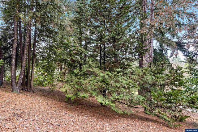 Camellia Dr S, Salem, OR 97302