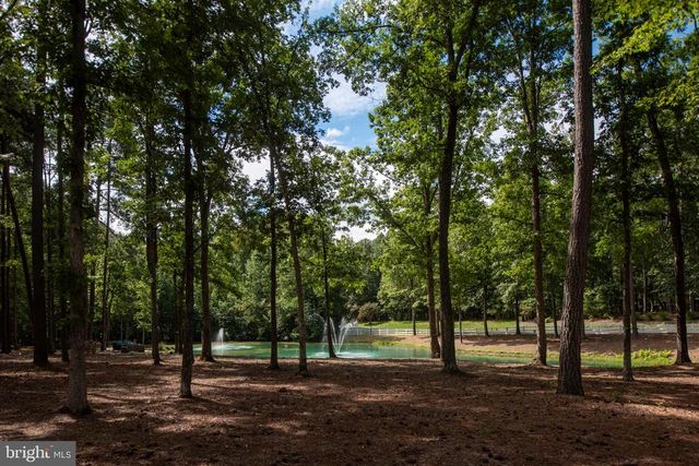 11204 HONOR BRIDGE FARM PLACE PL, Spotsylvania, VA 22551