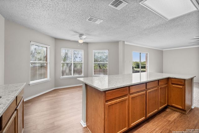 9626 Blossom Tree, San Antonio, TX 78250