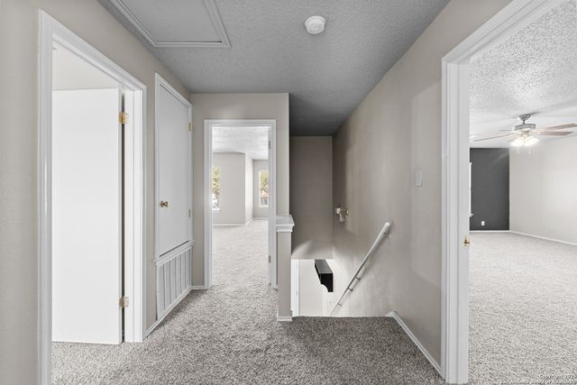 9626 Blossom Tree, San Antonio, TX 78250