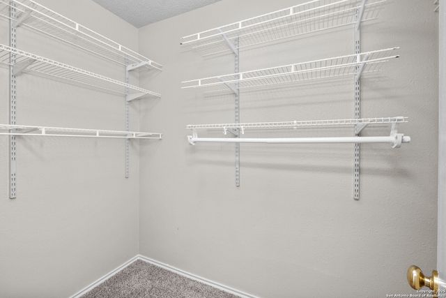 9626 Blossom Tree, San Antonio, TX 78250