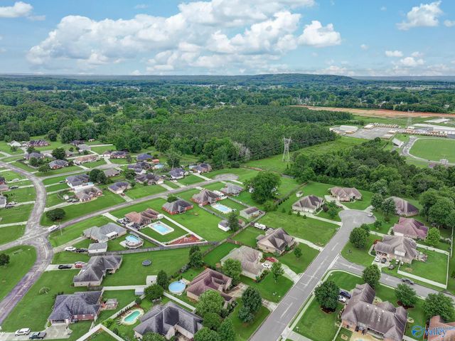 111 Gin Creek Crossing, Decatur, AL 35603