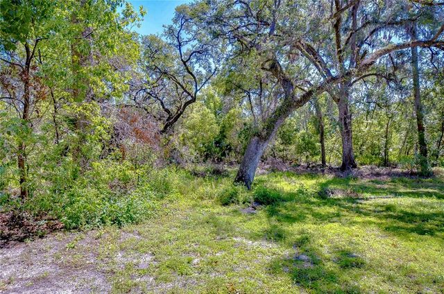 4041 LANE ROAD, Zephyrhills, FL 33541