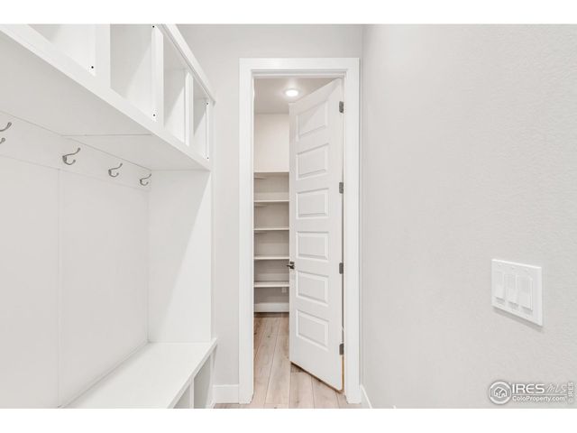 1730 Lucent Ct, Windsor, CO 80550