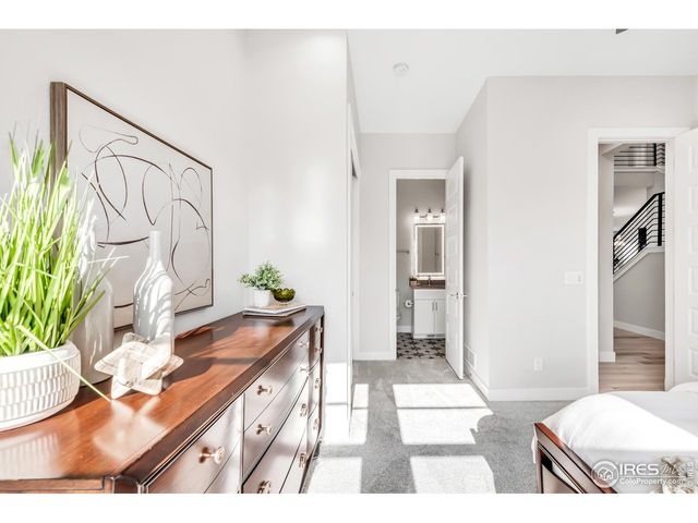 1730 Lucent Ct, Windsor, CO 80550