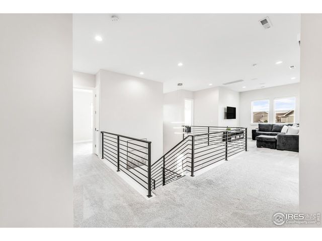 1730 Lucent Ct, Windsor, CO 80550