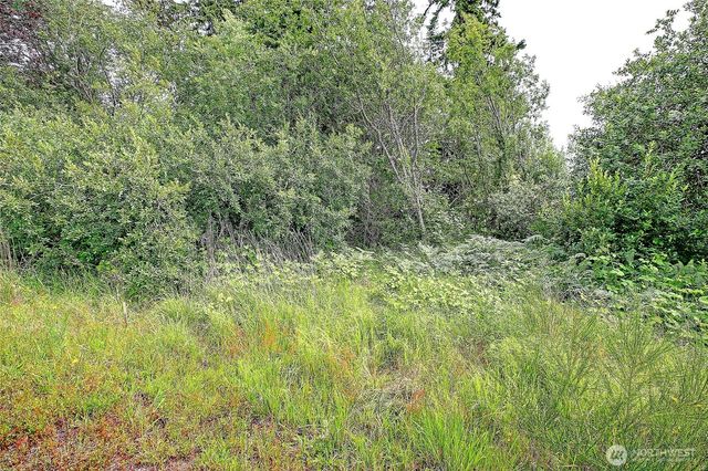 376 Moana Drive, Camano Island, WA 98282