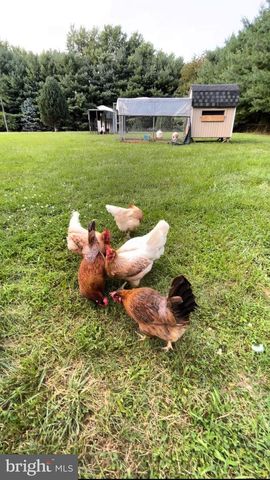 162 MILLSTONE ROAD, Millstone Township, NJ 08535