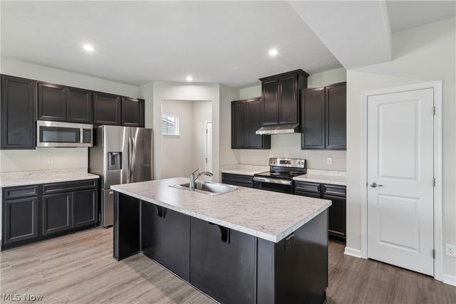 1594 Slick Rock Drive, Painesville, OH 44077
