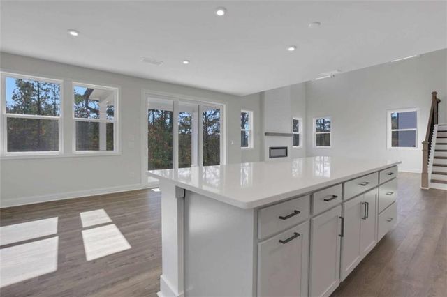 4232 Adler Circle, Buford, GA 30519