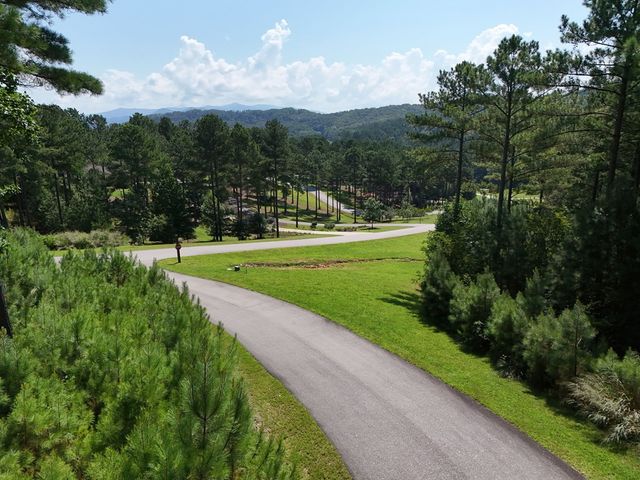 Lot 121 Stable Rise, Blairsville, GA 30512