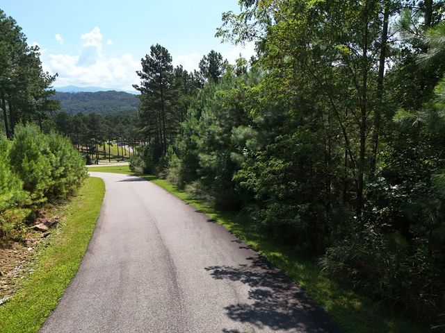 Lot 121 Stable Rise, Blairsville, GA 30512